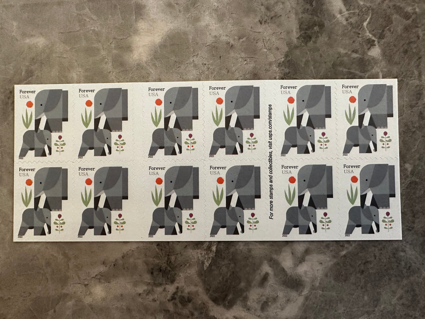 Cartoon Elephants Star