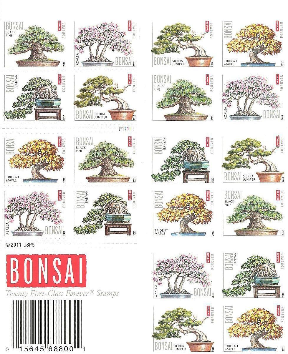 Bonsai Tree