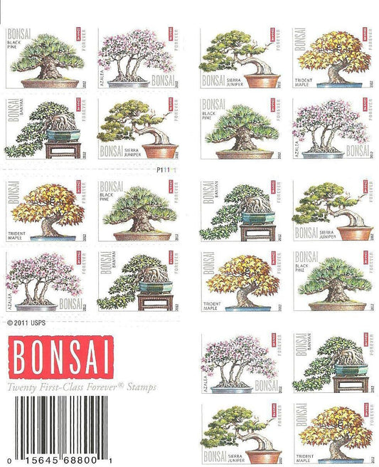 Bonsai Tree