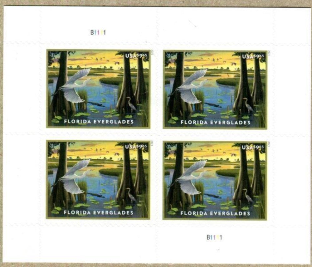 2023 Florida Everglades for Priority Mail