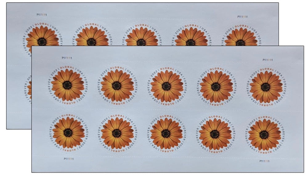 Global African Daisy International Stamps